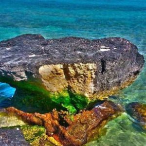 عکسی از ساحل مرجان در جزیره زیبا و بی نظیر کیش