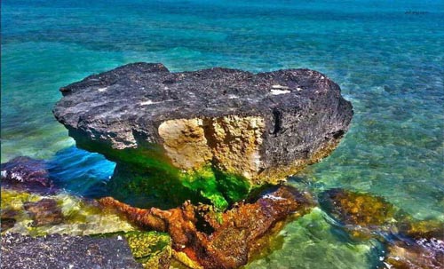 عکسی از ساحل زیبای مرجان در جزیره بی نظیر کیش