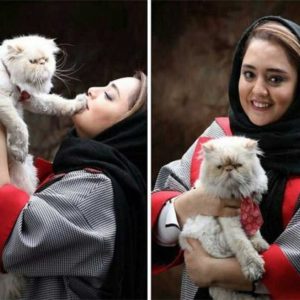 نرگس محمدی و گربه خانگی اش!/عکس