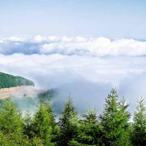 جنگل ابر و زیبایی های ناتمامش/فیلم