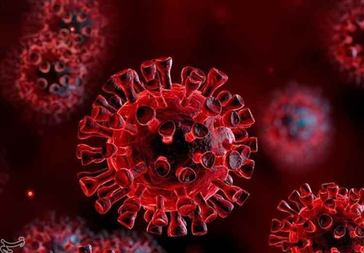 مشخصات کرونای هندی را بشناسید/ چرا ویروس هندی خطرناک است؟