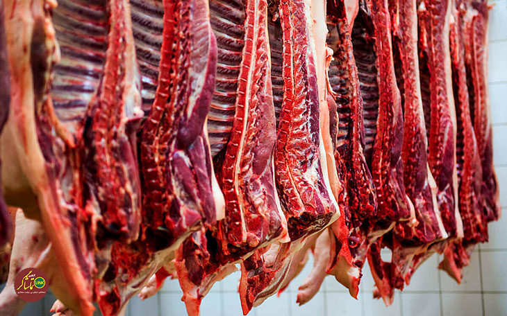 خوردن مرتب گوشت باعث ۹ بیماری خطرناک می‌شود