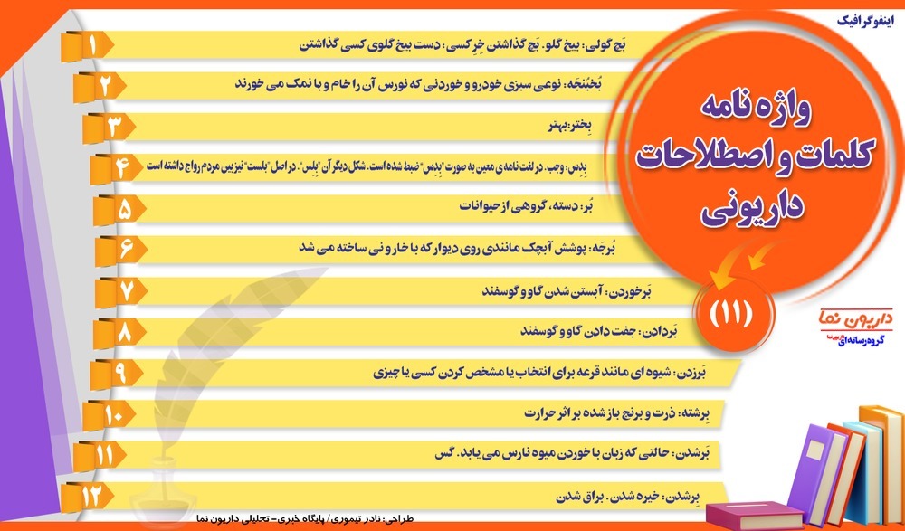 اینفوگرافیک/واژه نامه کلمات و اصطلاحات داریونی