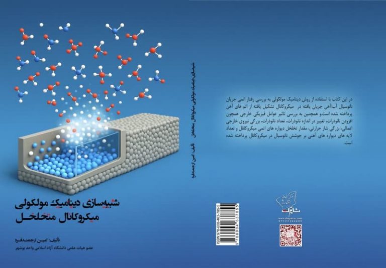 جهان نانومقیاس در دستان شما؛نگاهی به کتاب «شبیه‌سازی دینامیک مولکولی میکروکانال متخلخل»